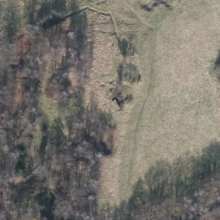 Bunker	
